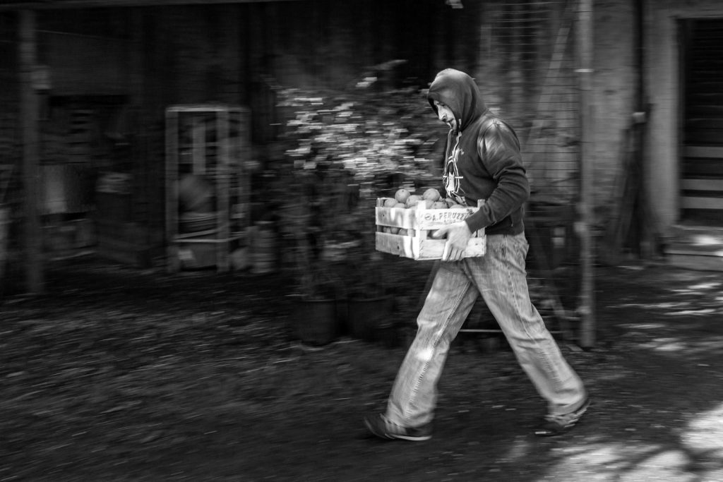 La battaglia delle Arance di Ivrea - Storico Carnevale di Ivrea
