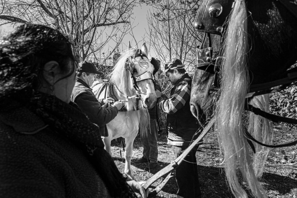 La battaglia delle Arance di Ivrea - Storico Carnevale di Ivrea