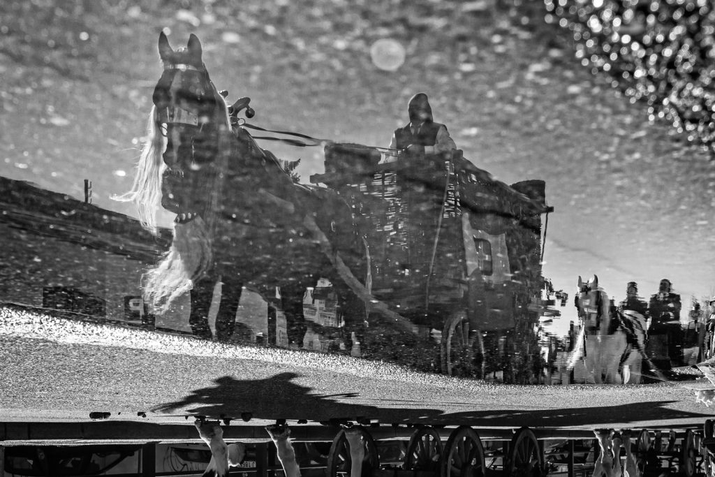 La battaglia delle Arance di Ivrea - Storico Carnevale di Ivrea