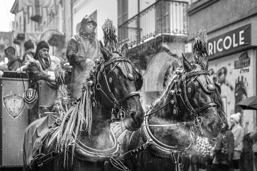 La battaglia delle Arance di Ivrea - Storico Carnevale di Ivrea