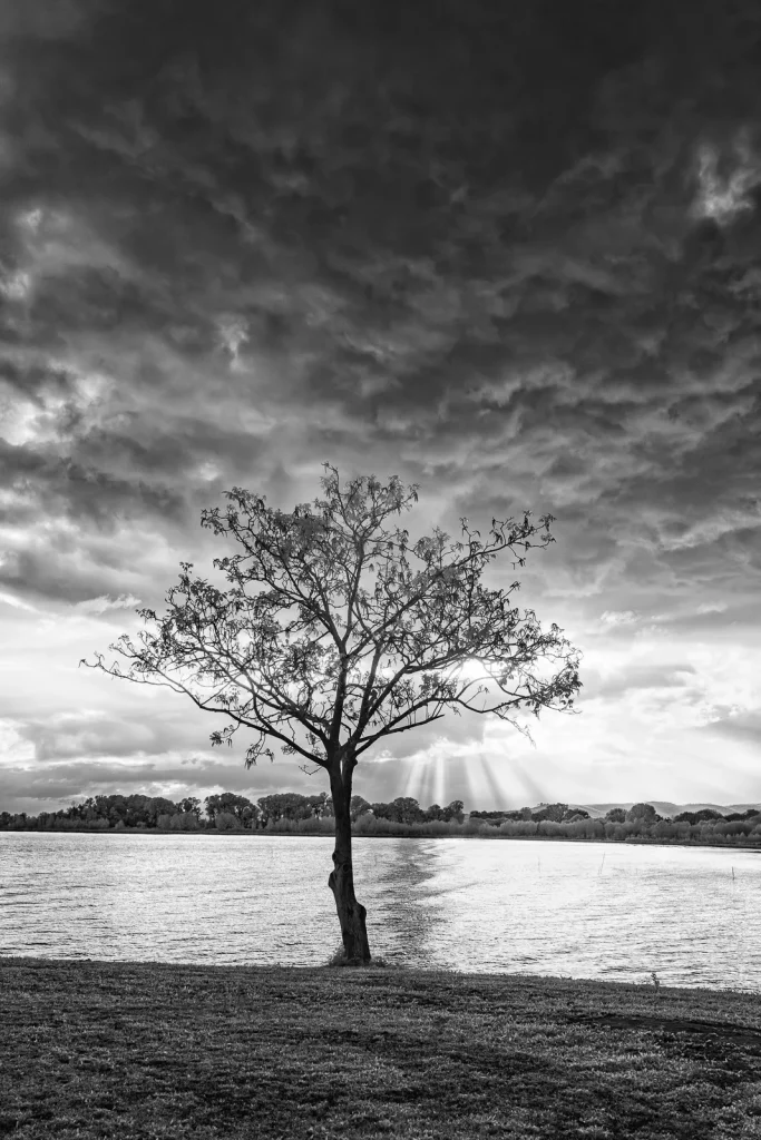 Fotografia in infrarosso