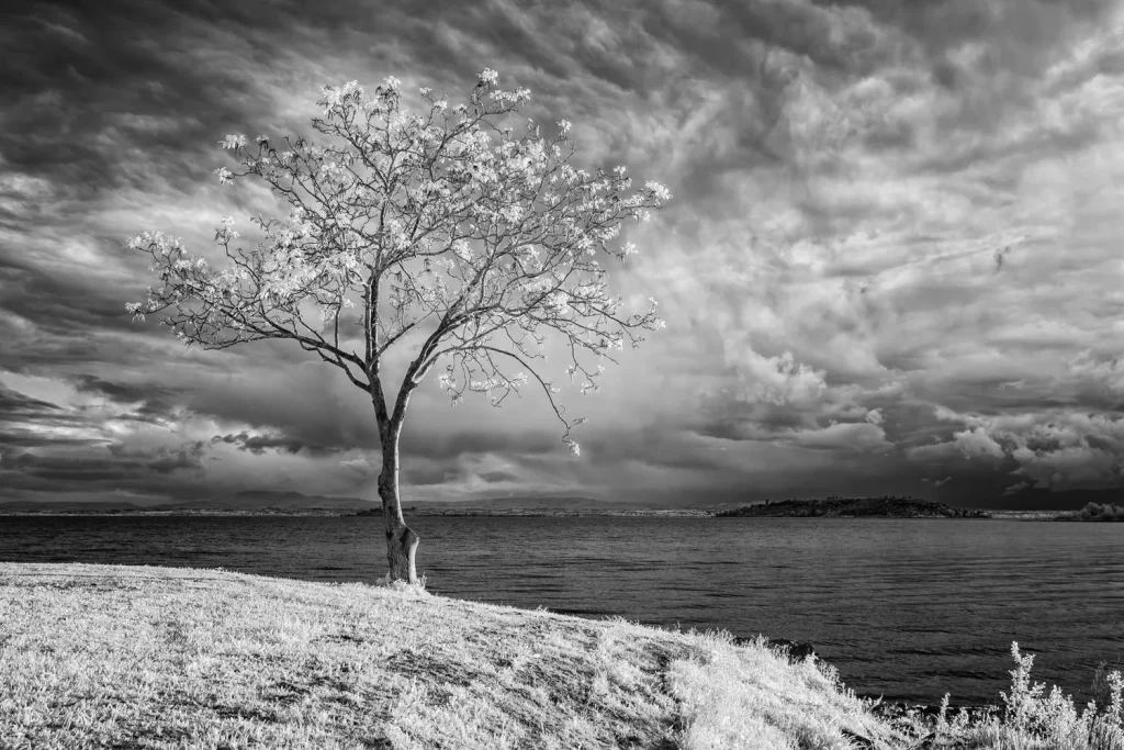 Fotografia in infrarosso