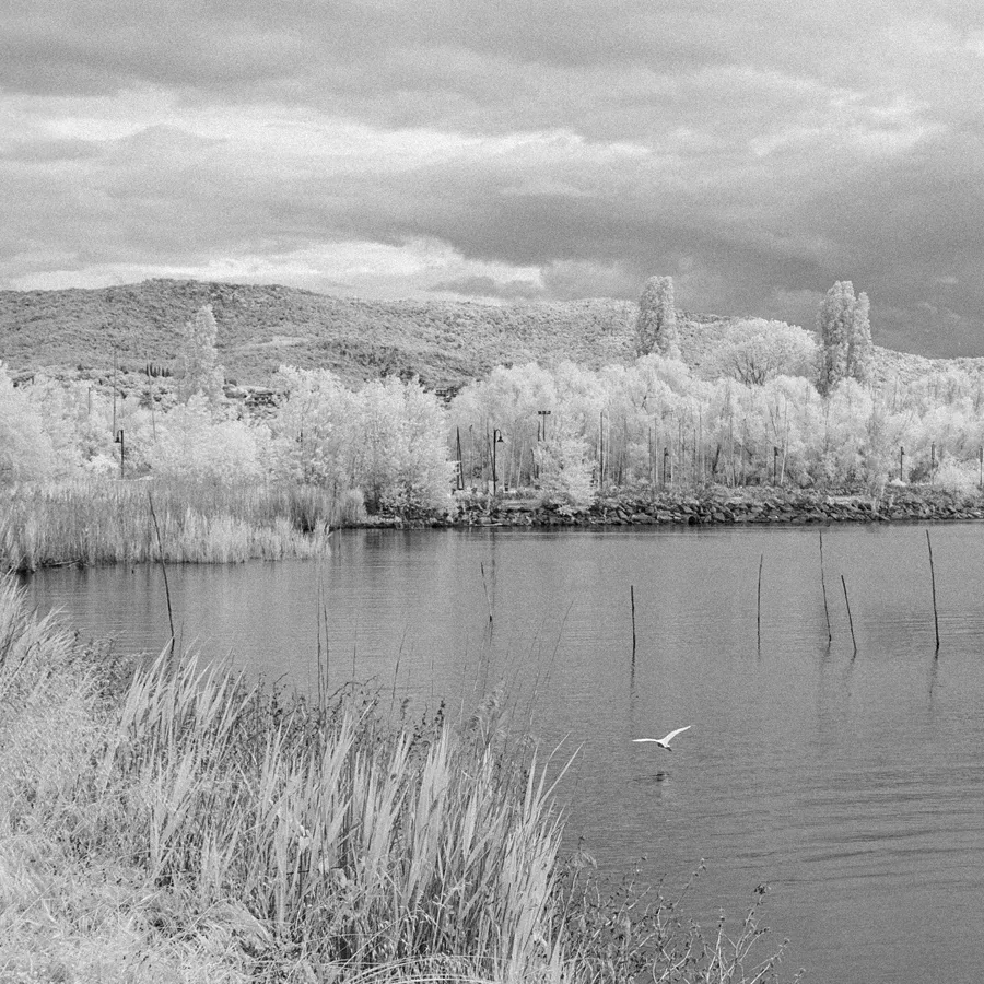 Fotografia in infrarosso