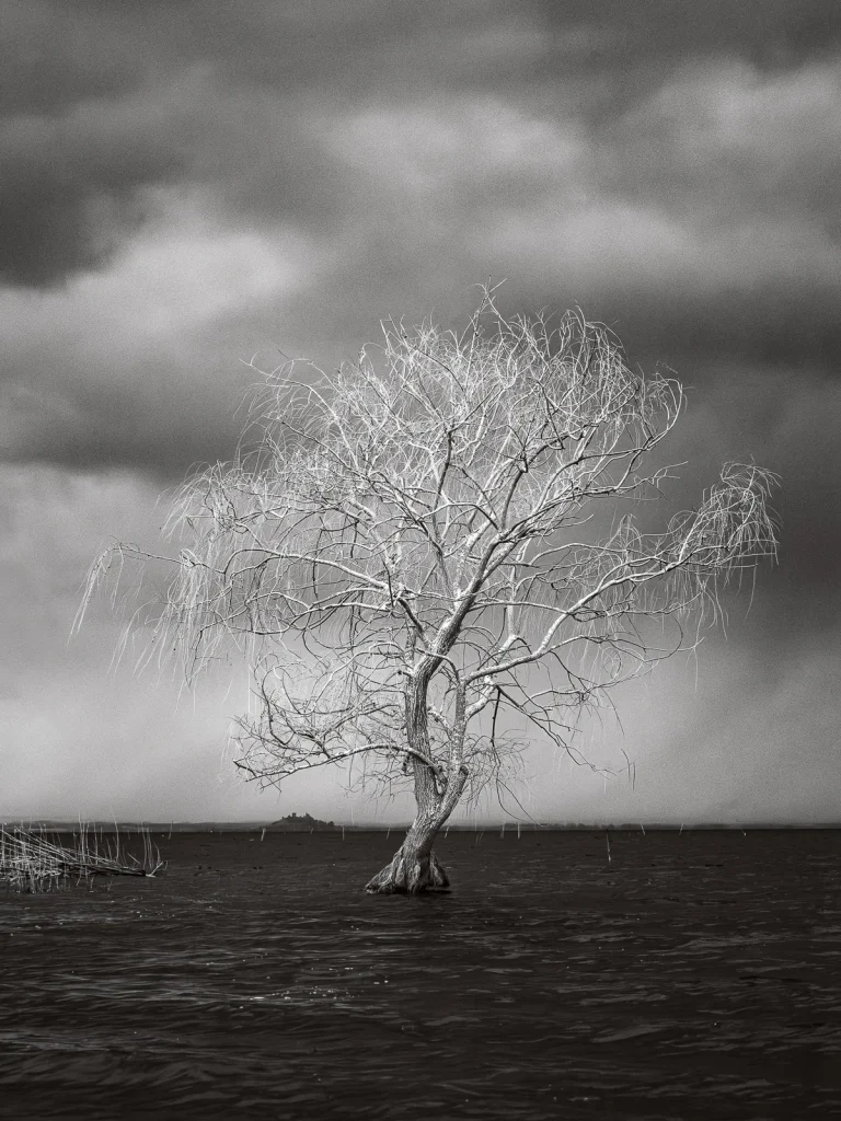 Fotografia in infrarosso