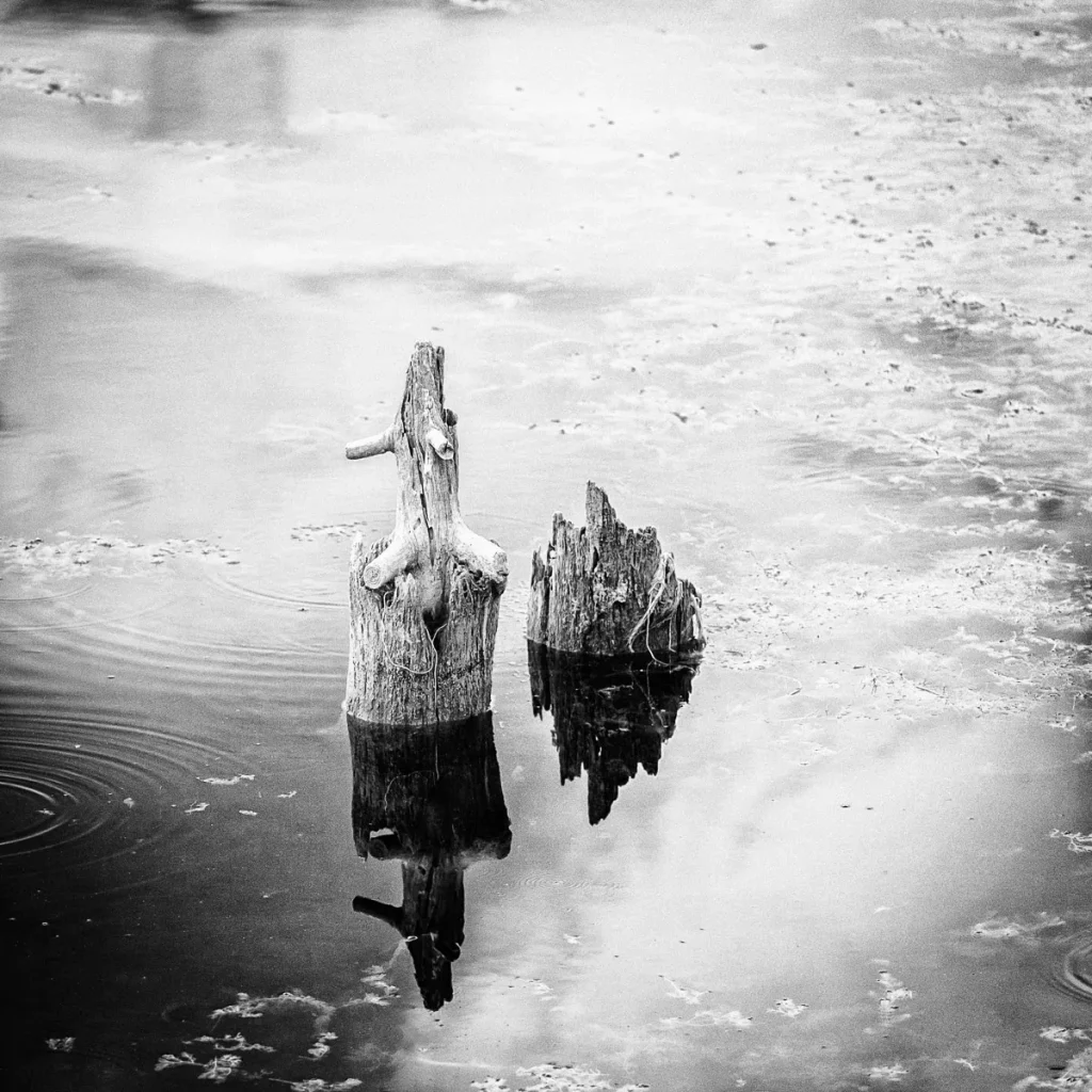 Fotografia in infrarosso