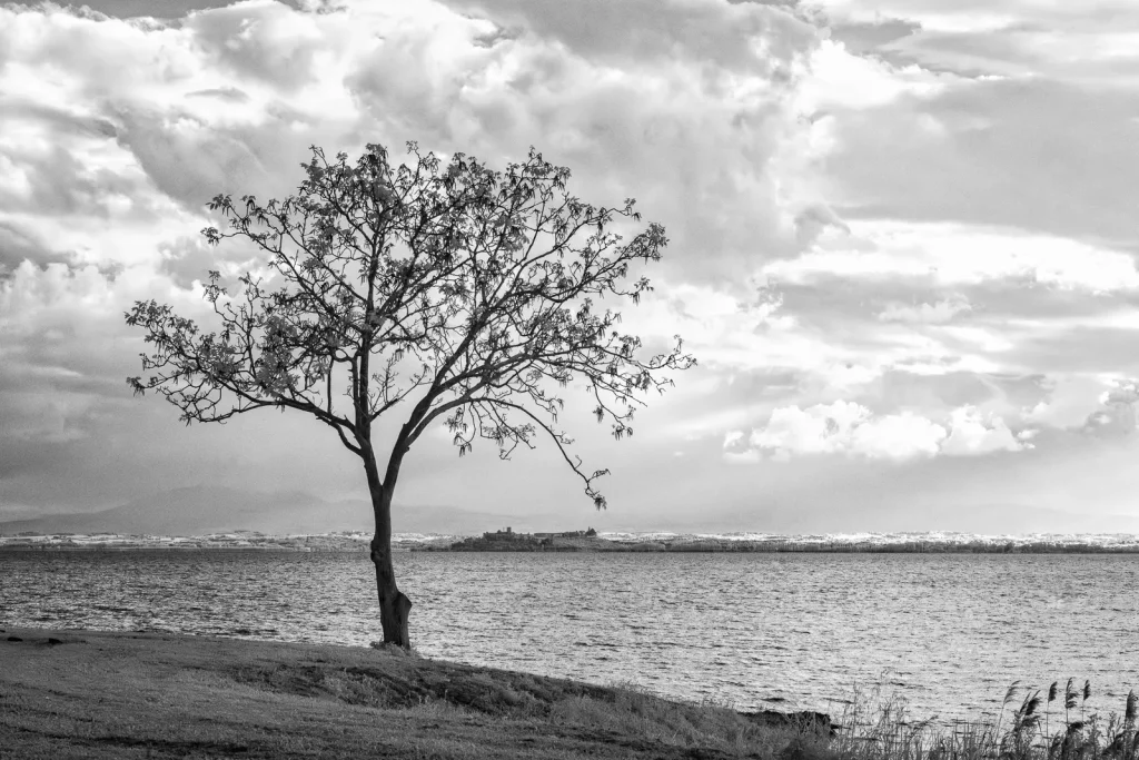 Fotografia in infrarosso