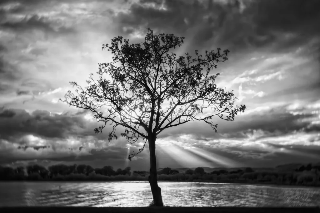 Fotografia in infrarosso