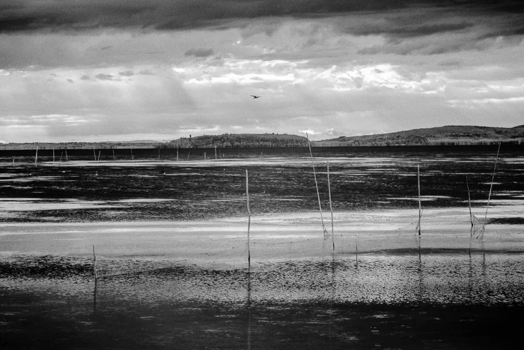 Fotografia in infrarosso